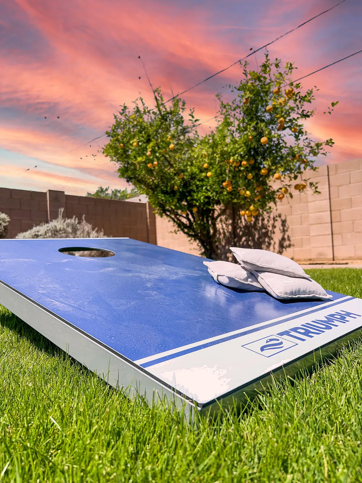 A backyard scene featuring a vibrant cornhole board on a lush green lawn, with an orange tree to one side and a colorful sunset painting the sky. The setting exudes a playful, relaxed vibe ideal for evening gatherings and outdoor games.